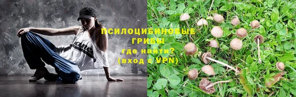 спайс Абаза