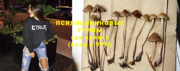альфа пвп Снежинск
