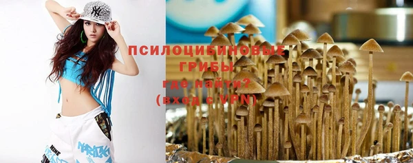 бошки Абинск