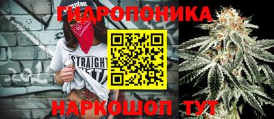 мяу мяу мука Краснознаменск