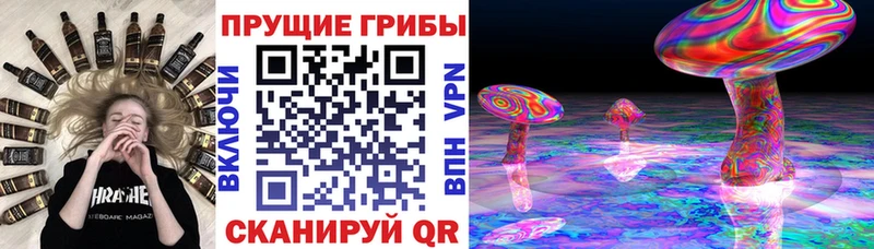 сайты даркнета какой сайт  Ишимбай  Галлюциногенные грибы MAGIC MUSHROOMS 
