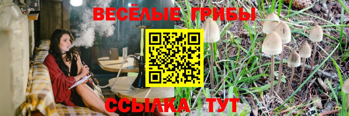 Ишимбай  Галлюциногенные грибы ЛСД  Вход с VPN 