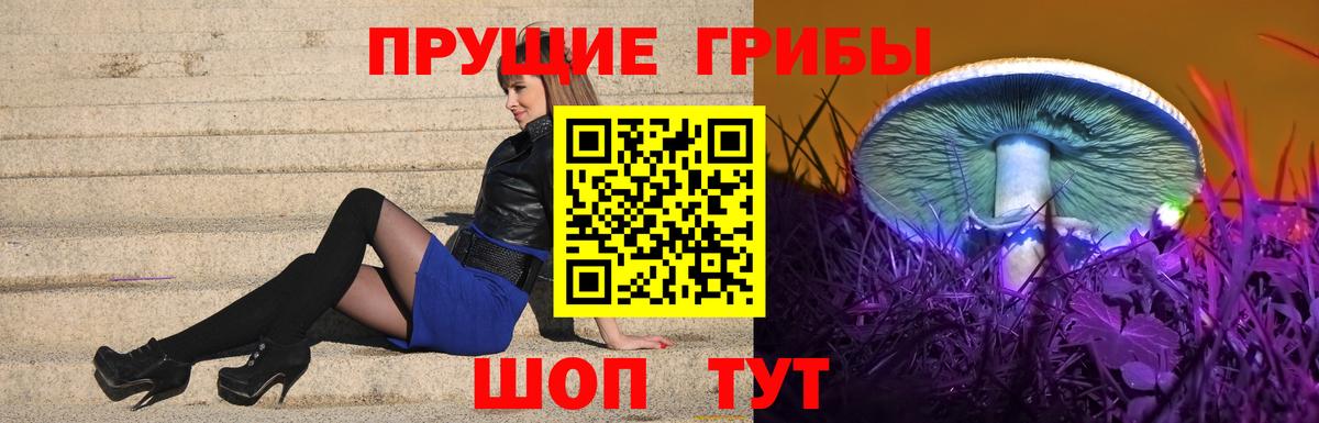 Псилоцибиновые грибы Magic Shrooms Ишимбай